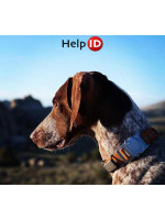 Placas Identificativas Perros