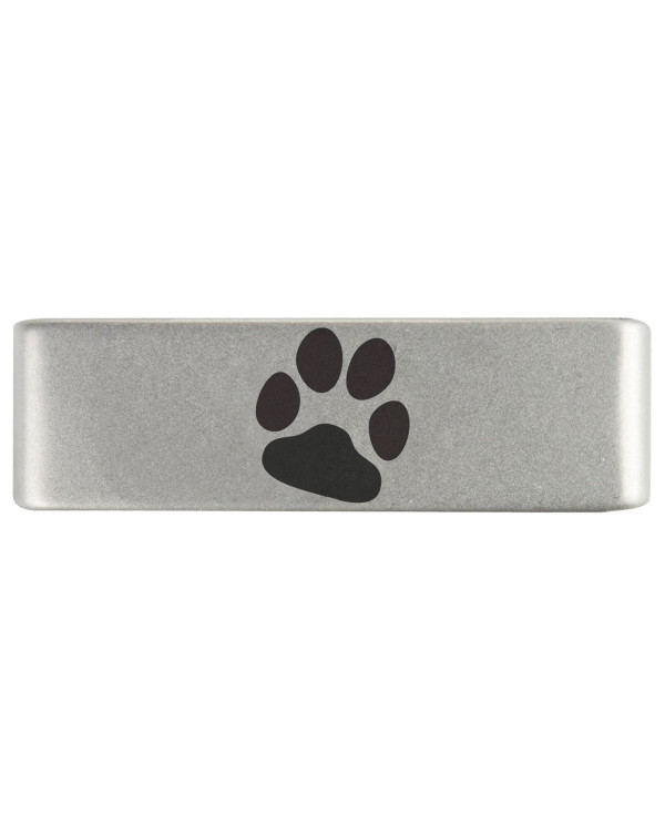 Insignia