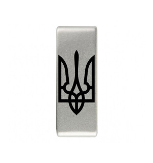 Insignia