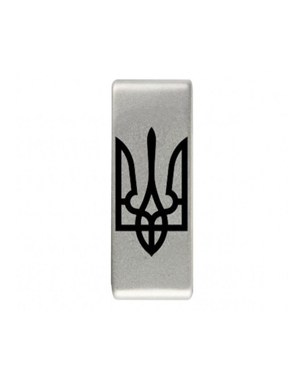 Insignia