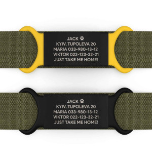 Placa de identificación personalizada para perro