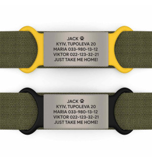 Placa de identificación personalizada para perro