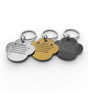 Placa de identificación grabada para perro