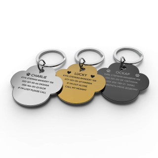 Placa para perro nube
