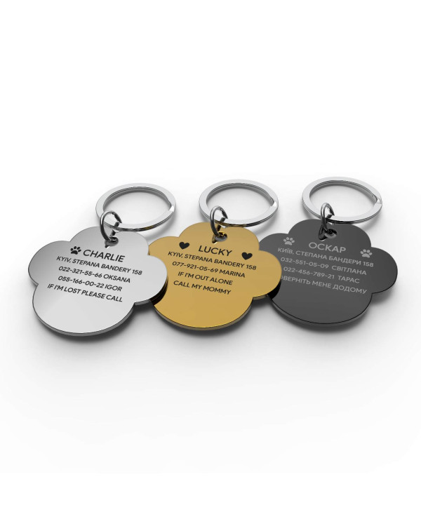 Placa de identificación grabada para perro