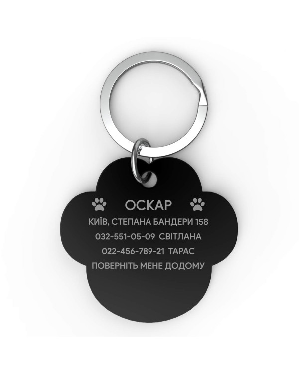 Placa de identificación grabada para perro