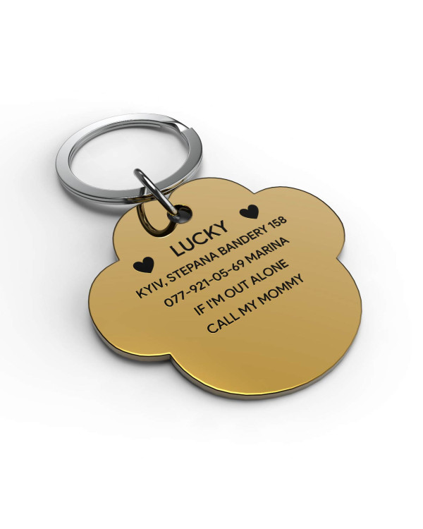 Placa de identificación grabada para perro