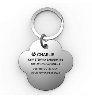 Placa de identificación grabada para perro