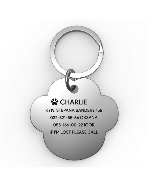 Placa de identificación grabada para perro