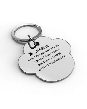 Placa para perro nube-foto2