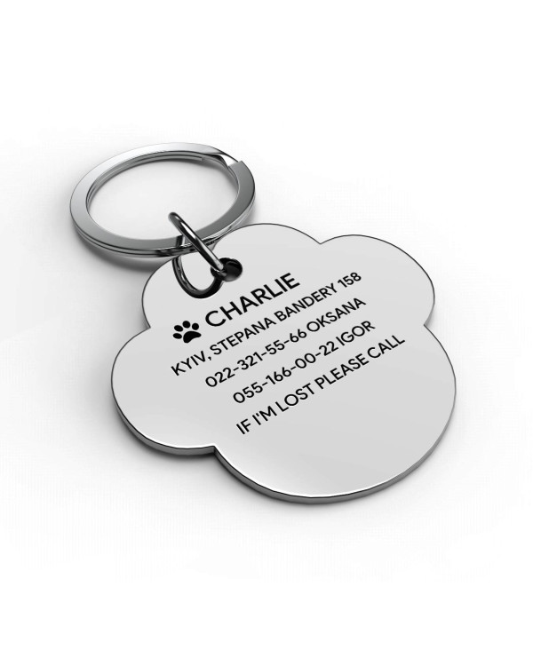 Placa de identificación grabada para perro