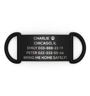 Placa de identificación personalizada para perro