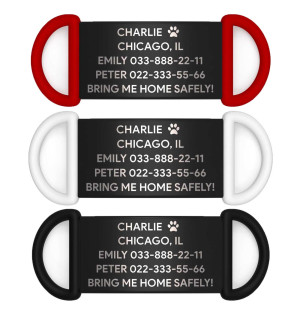 Placa de identificación personalizada para perro