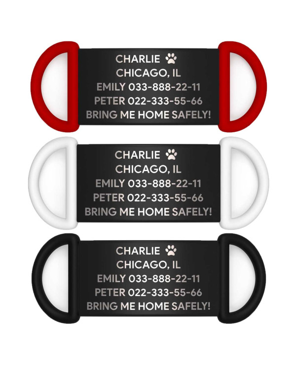 Placa de identificación personalizada para perro