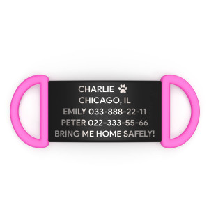 Placa de identificación personalizada para perro
