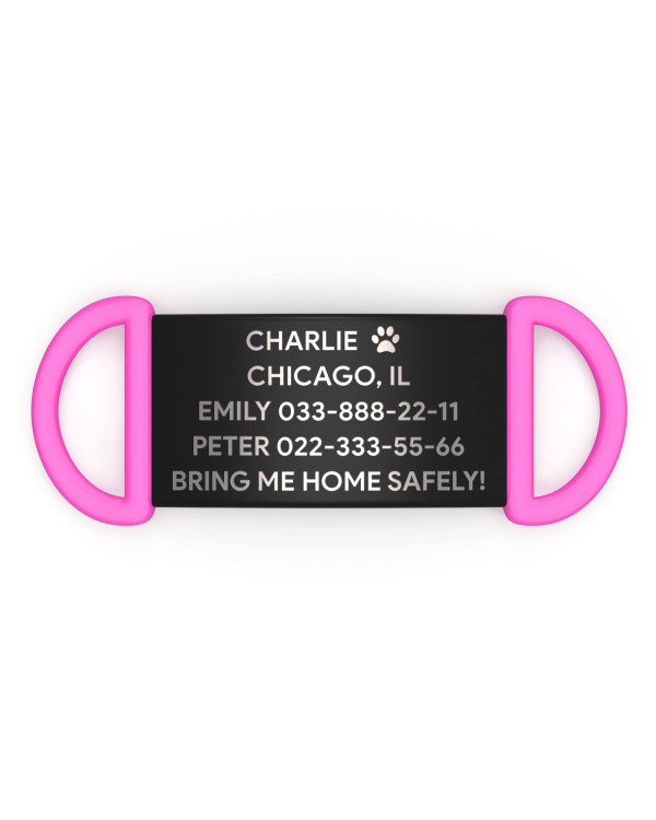Placa de identificación personalizada para perro