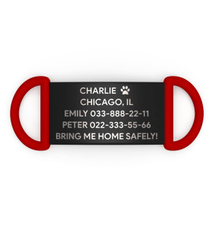 Placa de identificación personalizada para perro