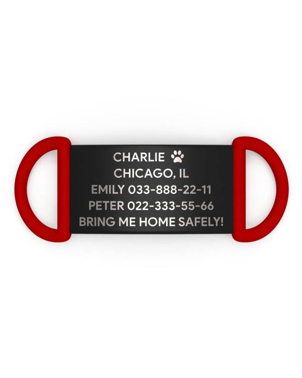 Placa de identificación personalizada para perro