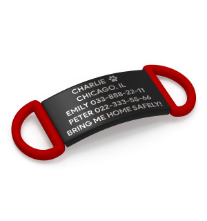 Placa de identificación personalizada para perro