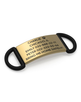 Placa de identificación para perros 19mm oro-foto3
