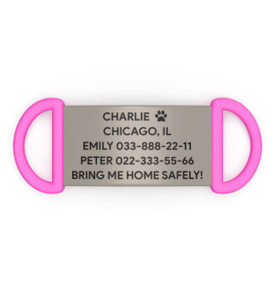 Placa de identificación para perro