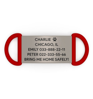 Placa de identificación para perro