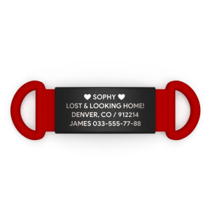 Placa de identificación para mascotas