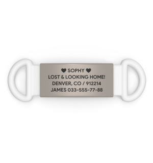 Placa de identificación para mascotas