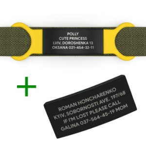 Duplicar placa