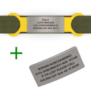 Duplicar placa